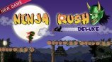 game pic for Ninja Rush Deluxe